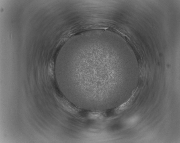 X0000065970175200603061158