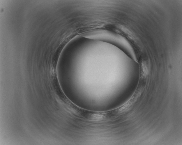 X0000065970176200603061158