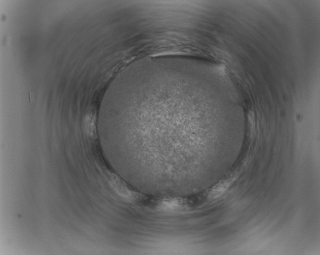 X0000065970177200603061158