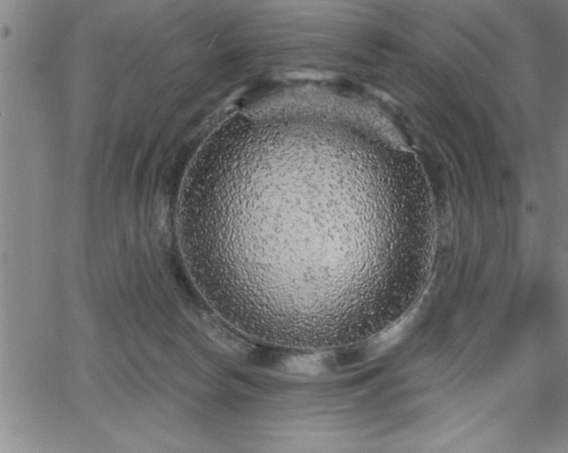 X0000065970178200603061158