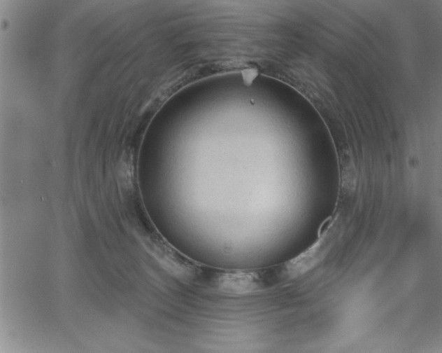 X0000065970179200603061158