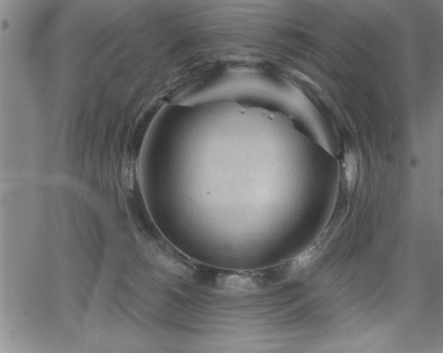 X0000065970180200603061158