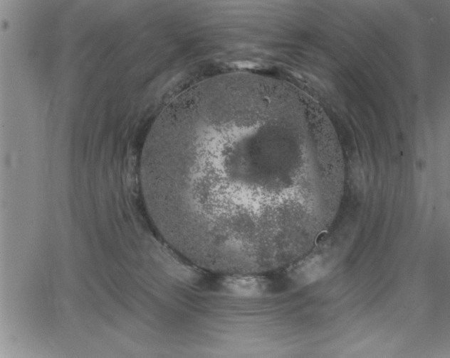 X0000065970181200603061158