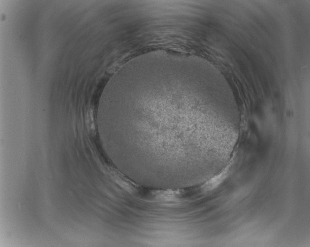 X0000065970182200603061158