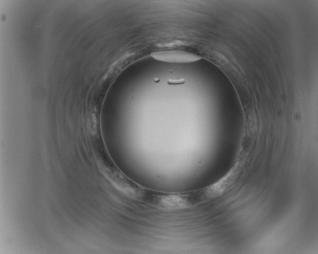 X0000065970183200603061158