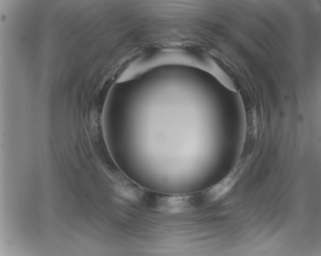 X0000065970184200603061158