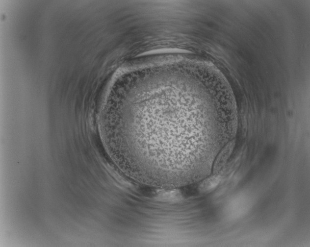 X0000065970185200603061158