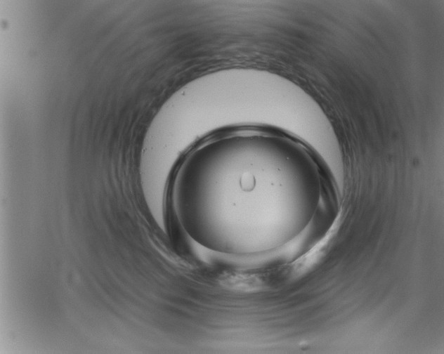 X0000065970186200603061158