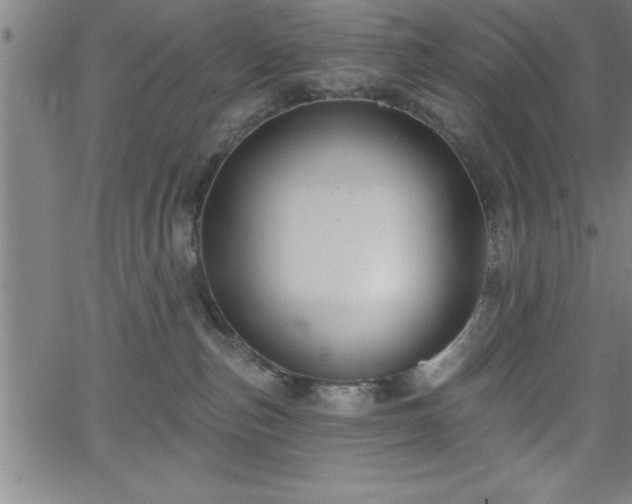 X0000065970187200603061158