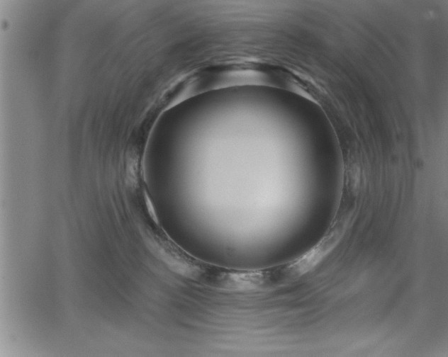 X0000065970188200603061158