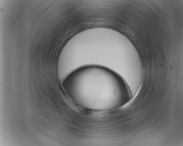 X0000065970190200603061158