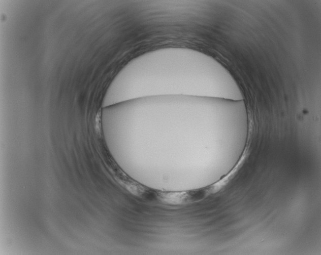 X0000065970191200603061158