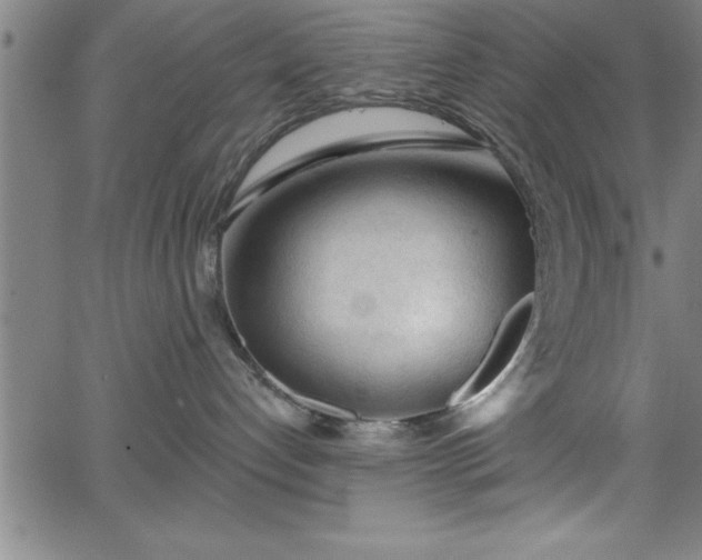 X0000065970192200603061159