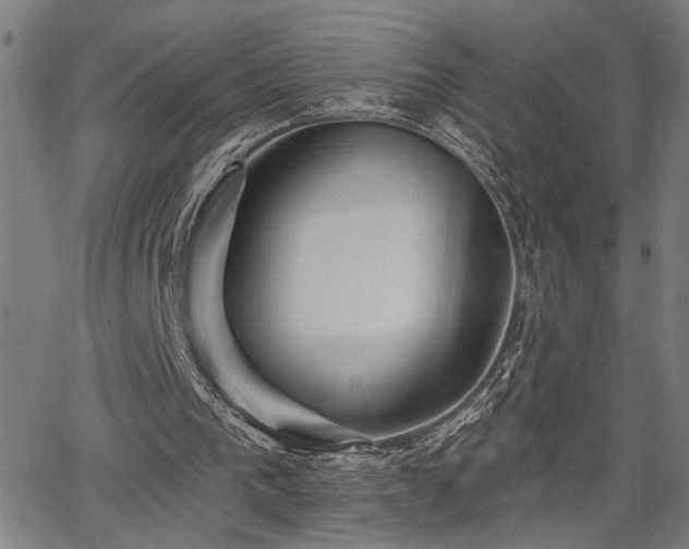 X0000065970193200603061158