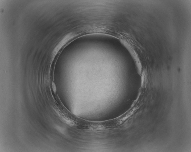 X0000065970195200603061158