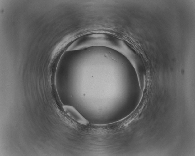 X0000065970197200603061158