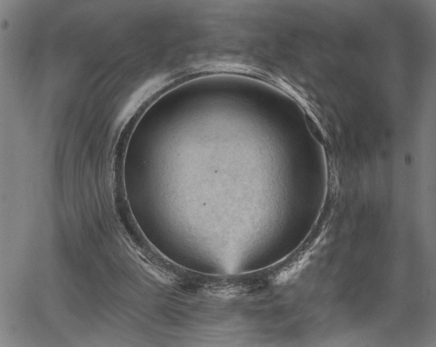 X0000065970199200603061158