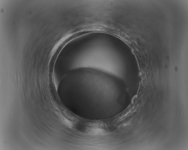 X0000065970200200603061158