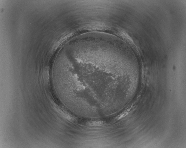 X0000065970202200603061158