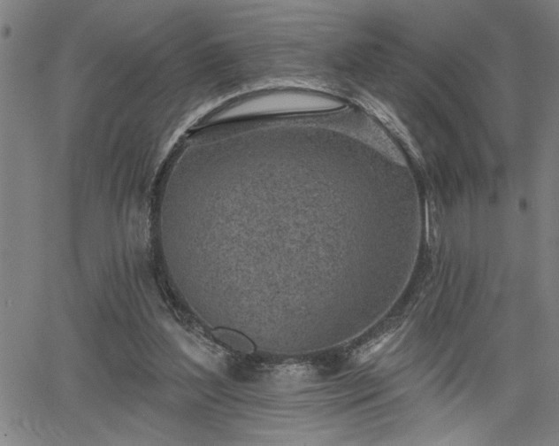 X0000065970204200603061158