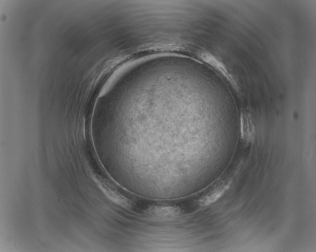 X0000065970205200603061158