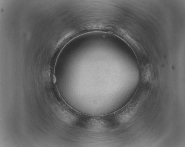 X0000065970207200603061158