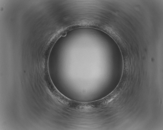 X0000065970208200603061157