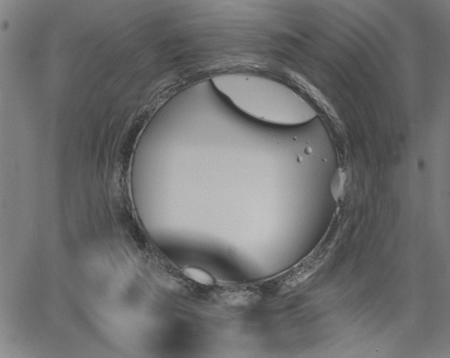 X0000065970209200603061157