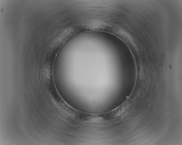 X0000065970210200603061157