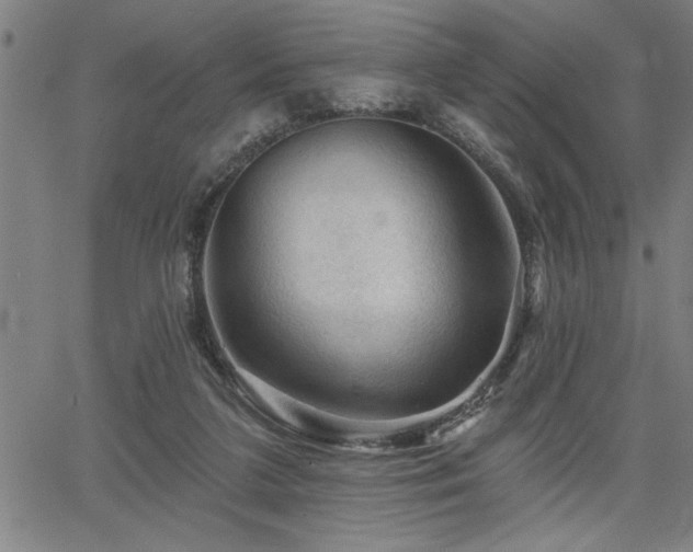 X0000065970211200603061157