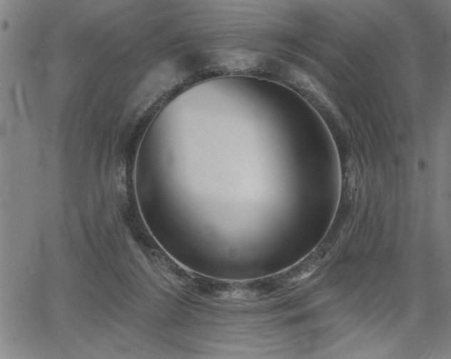 X0000065970212200603061157