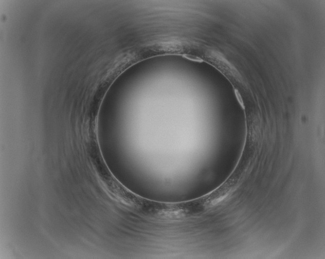 X0000065970213200603061157