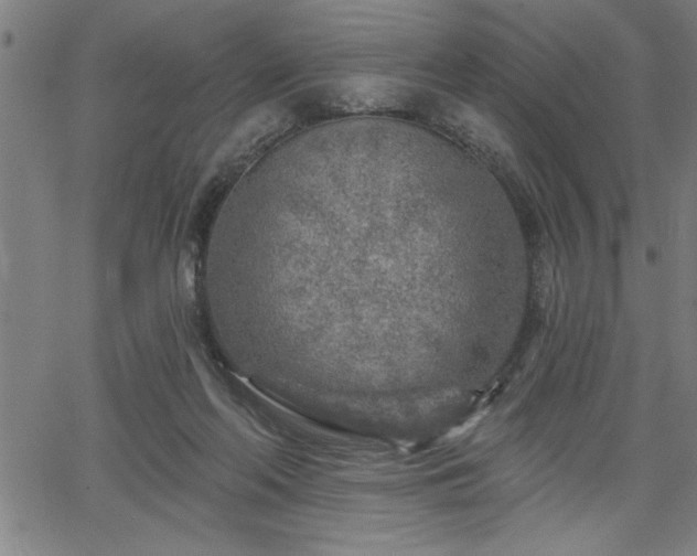 X0000065970214200603061157