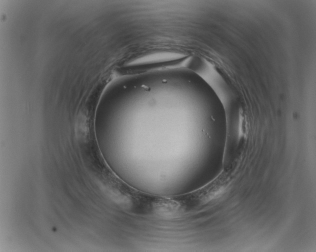 X0000065970215200603061157