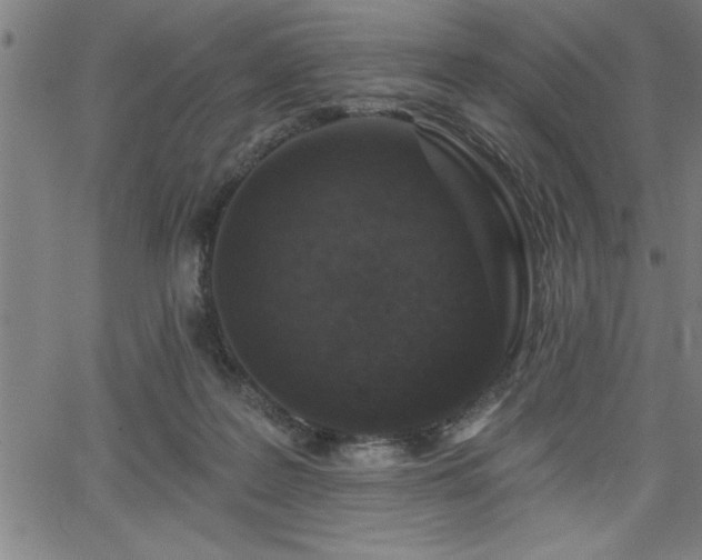 X0000065970219200603061157