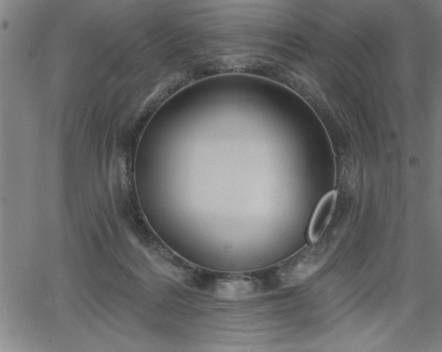 X0000065970220200603061157