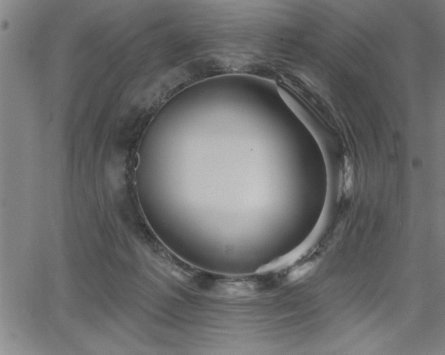 X0000065970221200603061157