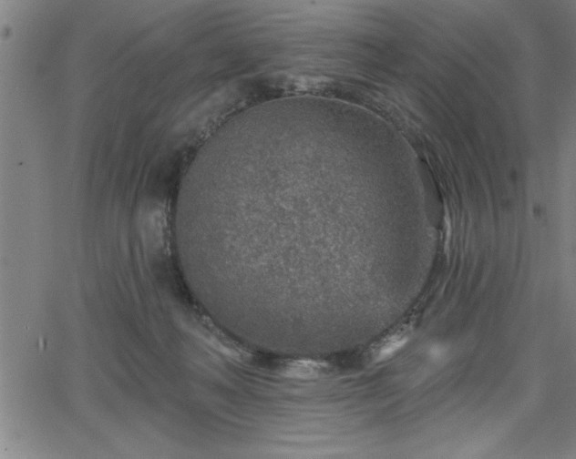 X0000065970222200603061157