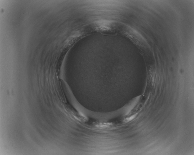 X0000065970223200603061157