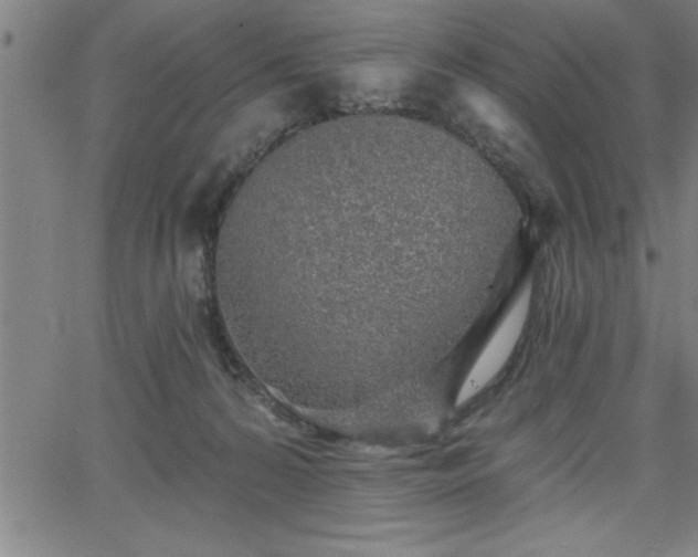 X0000065970224200603061157