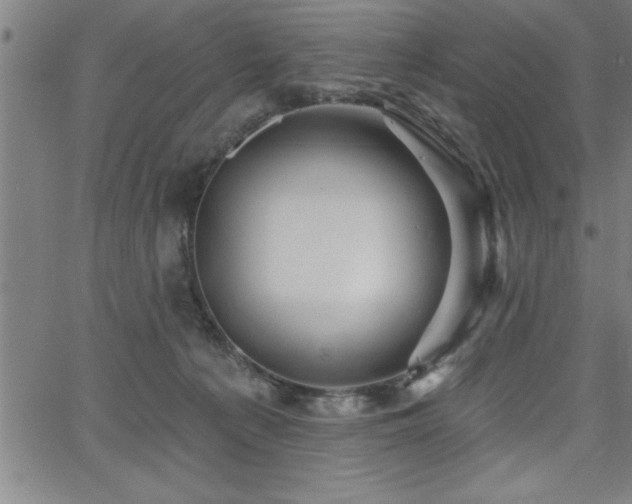 X0000065970225200603061157