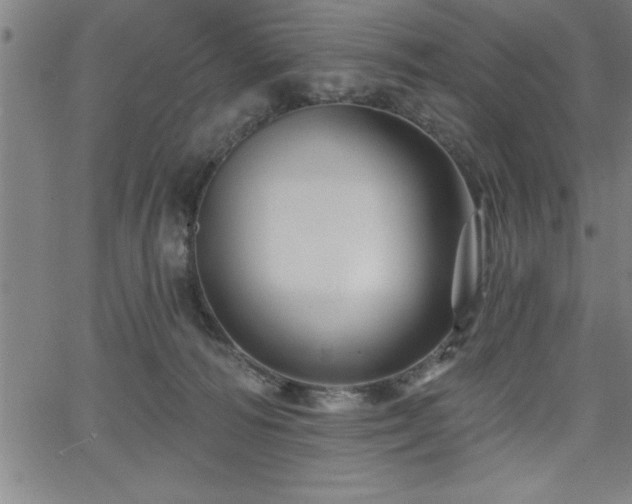 X0000065970226200603061157