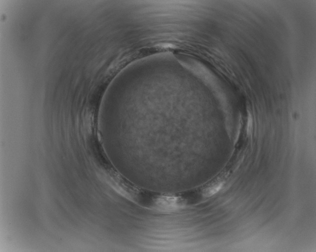 X0000065970227200603061157