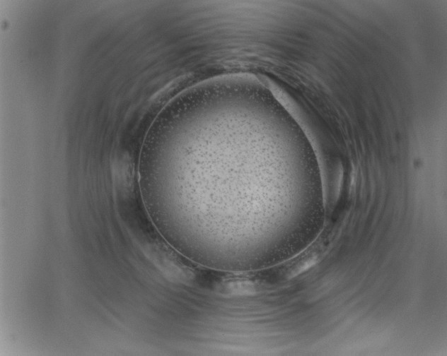 X0000065970228200603061157