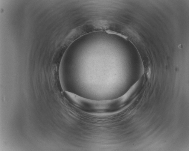 X0000065970229200603061157