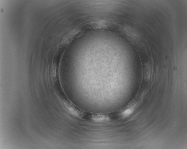 X0000065970230200603061157