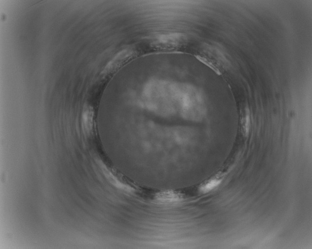 X0000065970231200603061157