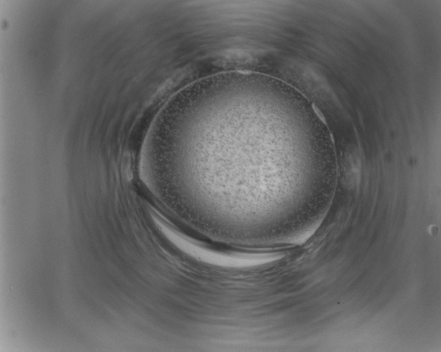 X0000065970232200603061157