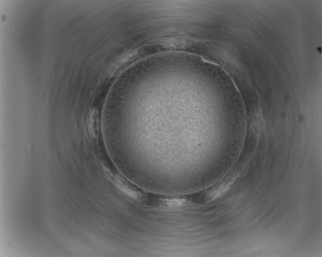 X0000065970233200603061157