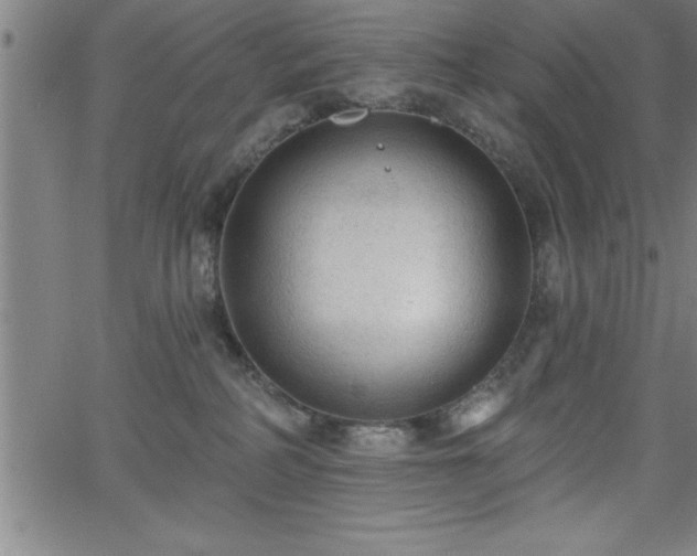 X0000065970234200603061157